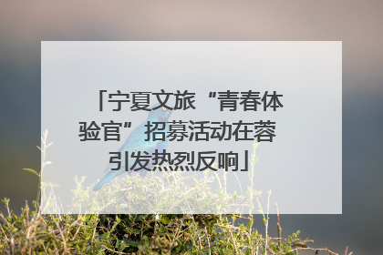 宁夏文旅“青春体验官”招募活动在蓉引发热烈反响