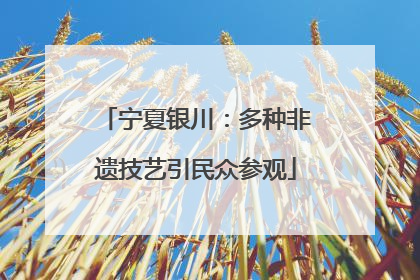 宁夏银川：多种非遗技艺引民众参观