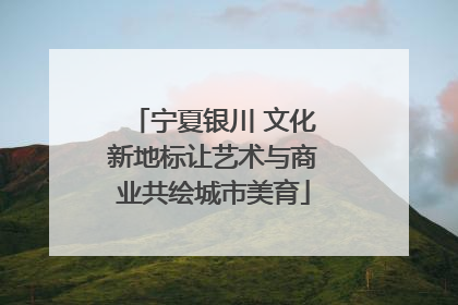 宁夏银川 文化新地标让艺术与商业共绘城市美育