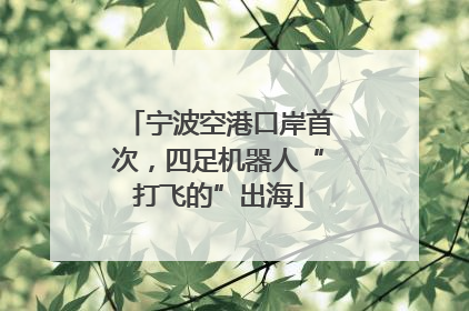 宁波空港口岸首次，四足机器人“打飞的”出海