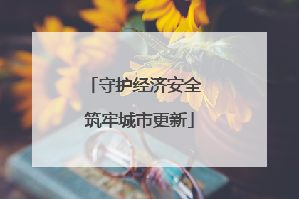 守护经济安全 筑牢城市更新
