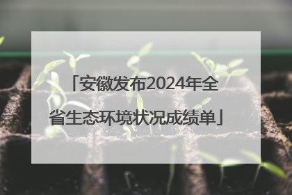 安徽发布2024年全省生态环境状况成绩单