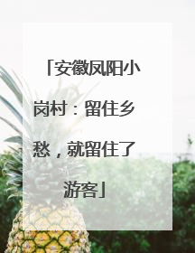 安徽凤阳小岗村：留住乡愁，就留住了游客