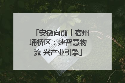 安徽向前丨宿州埇桥区：建智慧物流 兴产业引擎