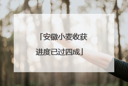 安徽小麦收获进度已过四成