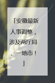 安徽最新人事调整，涉及两厅局、一地市！