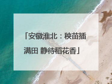 安徽淮北：秧苗插满田 静待稻花香