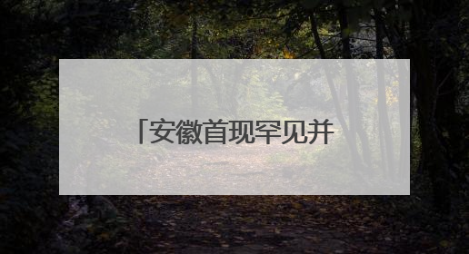 安徽首现罕见并蒂睡莲 概率仅为百万分之一
