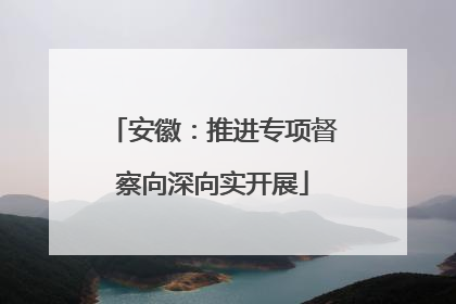 安徽：推进专项督察向深向实开展