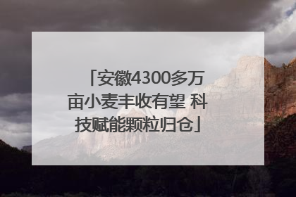 安徽4300多万亩小麦丰收有望 科技赋能颗粒归仓