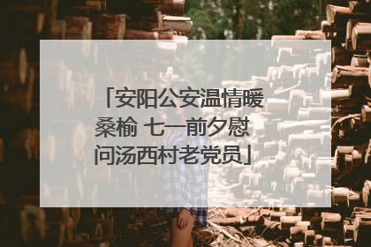 安阳公安温情暖桑榆 七一前夕慰问汤西村老党员