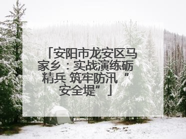 安阳市龙安区马家乡：实战演练砺精兵 筑牢防汛“安全堤”