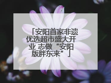 安阳首家非遗优选超市盛大开业 志做“安阳版胖东来”