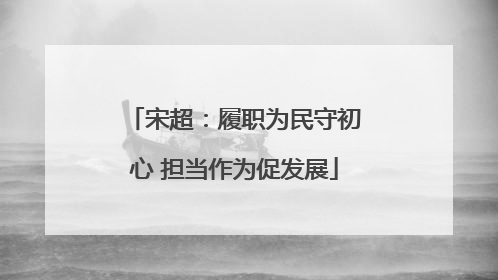 宋超：履职为民守初心 担当作为促发展