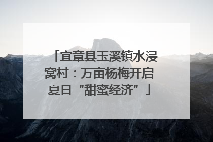 宜章县玉溪镇水浸窝村：万亩杨梅开启夏日“甜蜜经济”