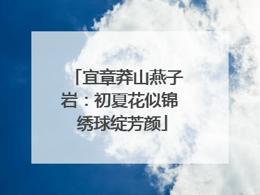 宜章莽山燕子岩：初夏花似锦 绣球绽芳颜