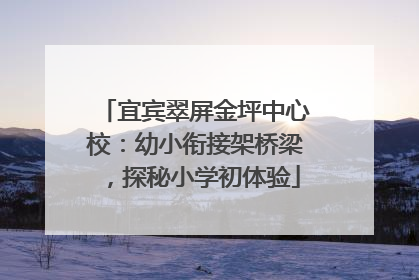 宜宾翠屏金坪中心校：幼小衔接架桥梁，探秘小学初体验