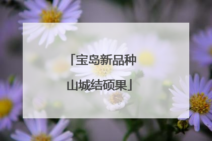 宝岛新品种 山城结硕果