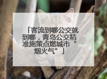 客流到哪公交就到哪，青岛公交精准施策点燃城市“烟火气”