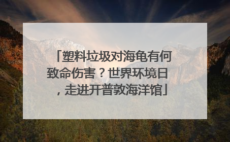 塑料垃圾对海龟有何致命伤害？世界环境日，走进开普敦海洋馆