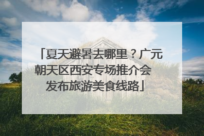 夏天避暑去哪里？广元朝天区西安专场推介会 发布旅游美食线路