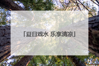 夏日戏水 乐享清凉