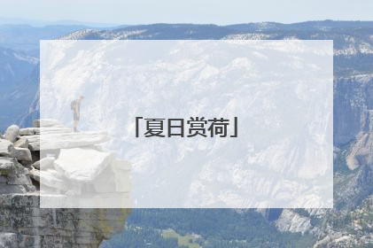 夏日赏荷