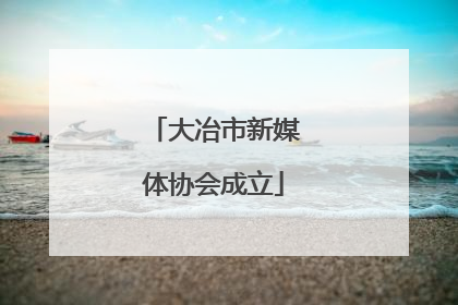 大冶市新媒体协会成立