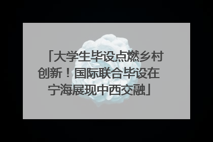 大学生毕设点燃乡村创新！国际联合毕设在宁海展现中西交融