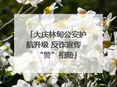 大庆林甸公安护航升级 反诈宣传“警”相随