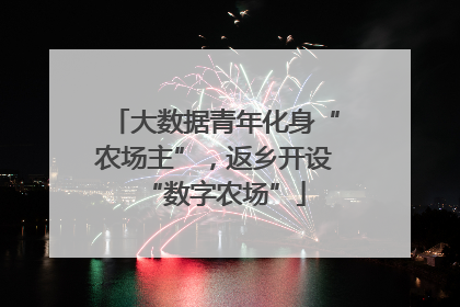 大数据青年化身“农场主”，返乡开设“数字农场”