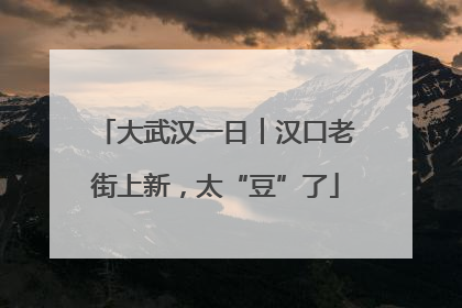 大武汉一日︱汉口老街上新，太“豆”了