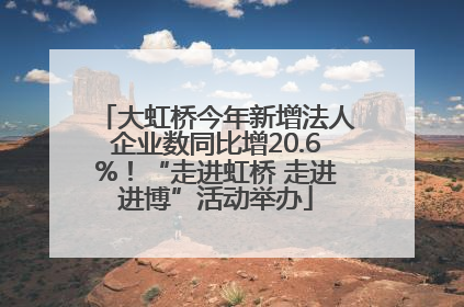 大虹桥今年新增法人企业数同比增20.6%！“走进虹桥 走进进博”活动举办