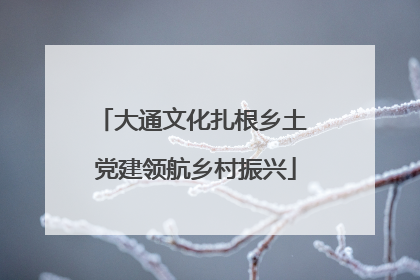 大通文化扎根乡土 党建领航乡村振兴