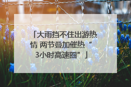 大雨挡不住出游热情 两节叠加催热“3小时高速圈”