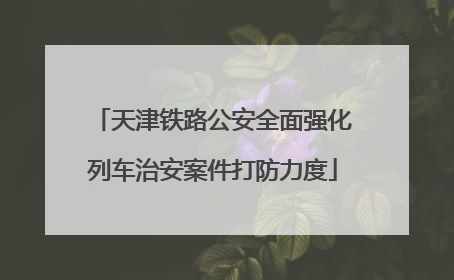 天津铁路公安全面强化列车治安案件打防力度