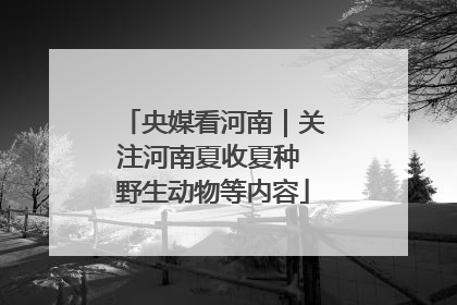 央媒看河南｜关注河南夏收夏种 野生动物等内容