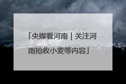 央媒看河南｜关注河南抢收小麦等内容