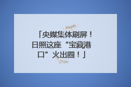央媒集体刷屏！日照这座“宝藏港口”火出圈！