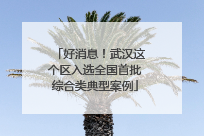 好消息！武汉这个区入选全国首批综合类典型案例