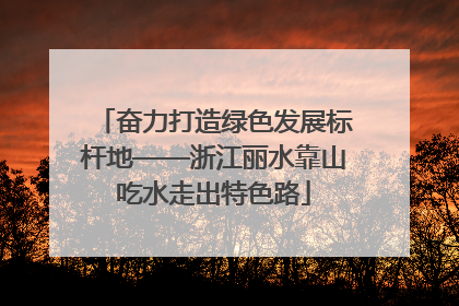 奋力打造绿色发展标杆地——浙江丽水靠山吃水走出特色路