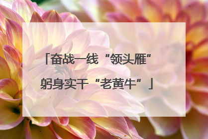 奋战一线“领头雁” 躬身实干“老黄牛”