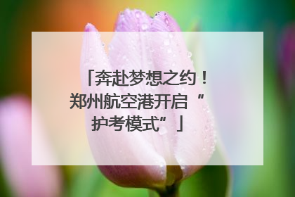 奔赴梦想之约！郑州航空港开启“护考模式”