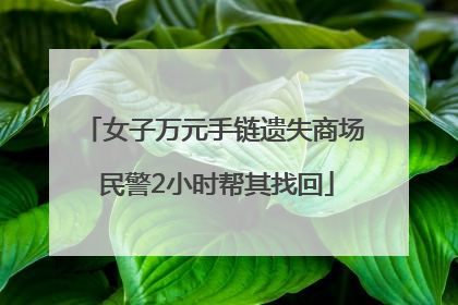 女子万元手链遗失商场 民警2小时帮其找回