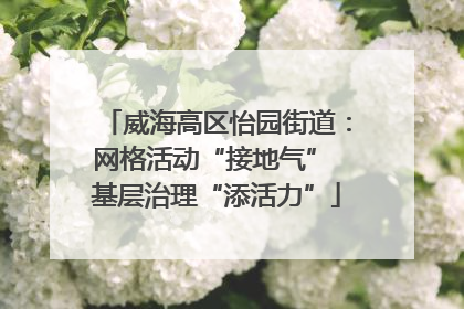 威海高区怡园街道：网格活动“接地气” 基层治理“添活力”