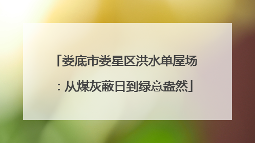 娄底市娄星区洪水单屋场：从煤灰蔽日到绿意盎然