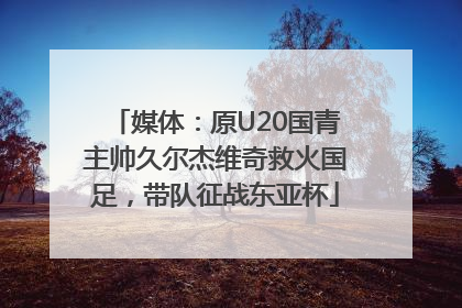 媒体：原U20国青主帅久尔杰维奇救火国足，带队征战东亚杯