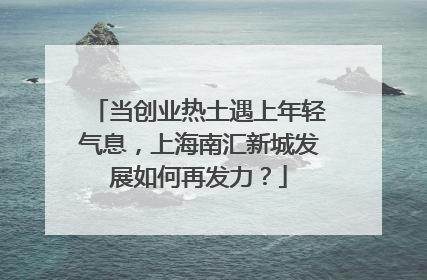 当创业热土遇上年轻气息，上海南汇新城发展如何再发力？