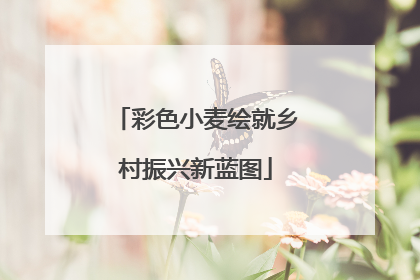 彩色小麦绘就乡村振兴新蓝图