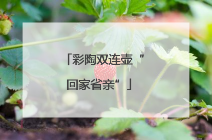 彩陶双连壶“回家省亲”